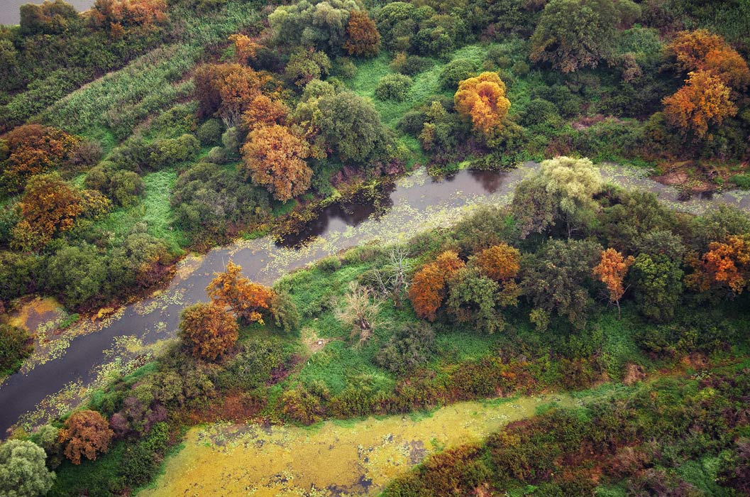О болотах Полесья