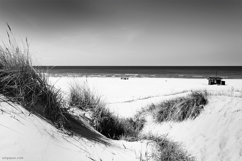 Посреди дюн...