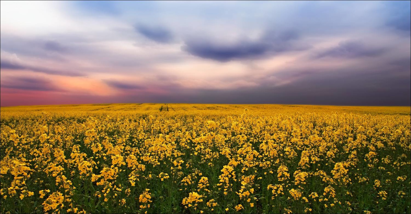 Полевые заметки
