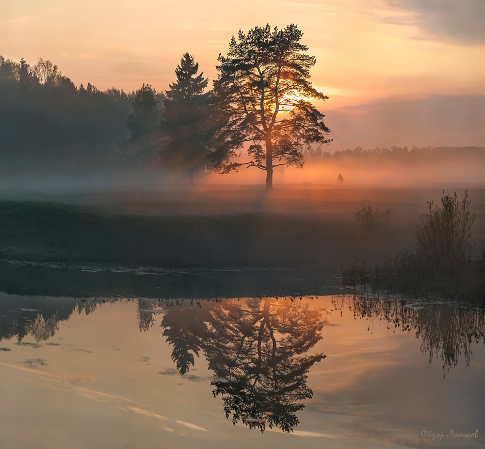 Весенний туман.
