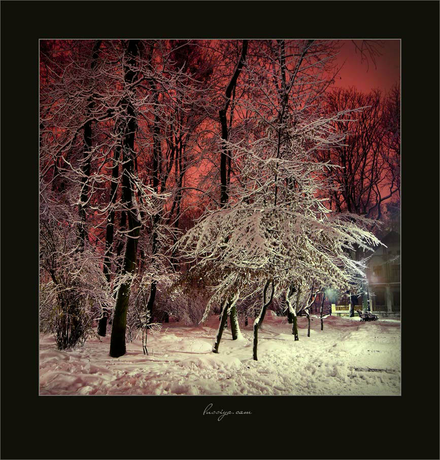 Зимняя ночная