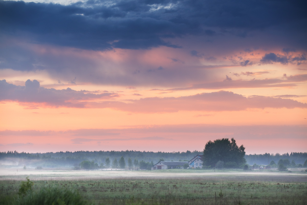 Вечерний туман после ливня