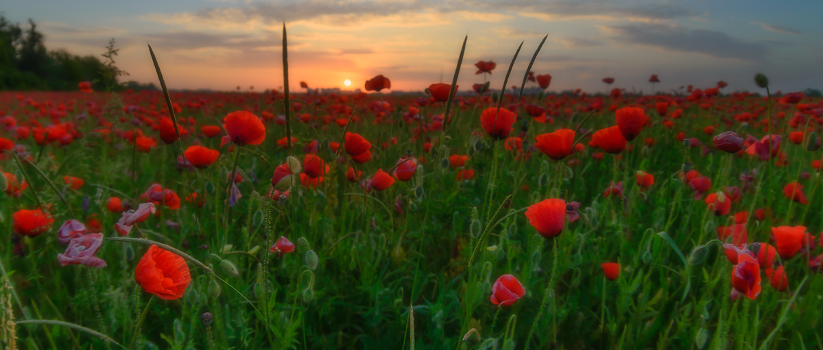 На пороге лета