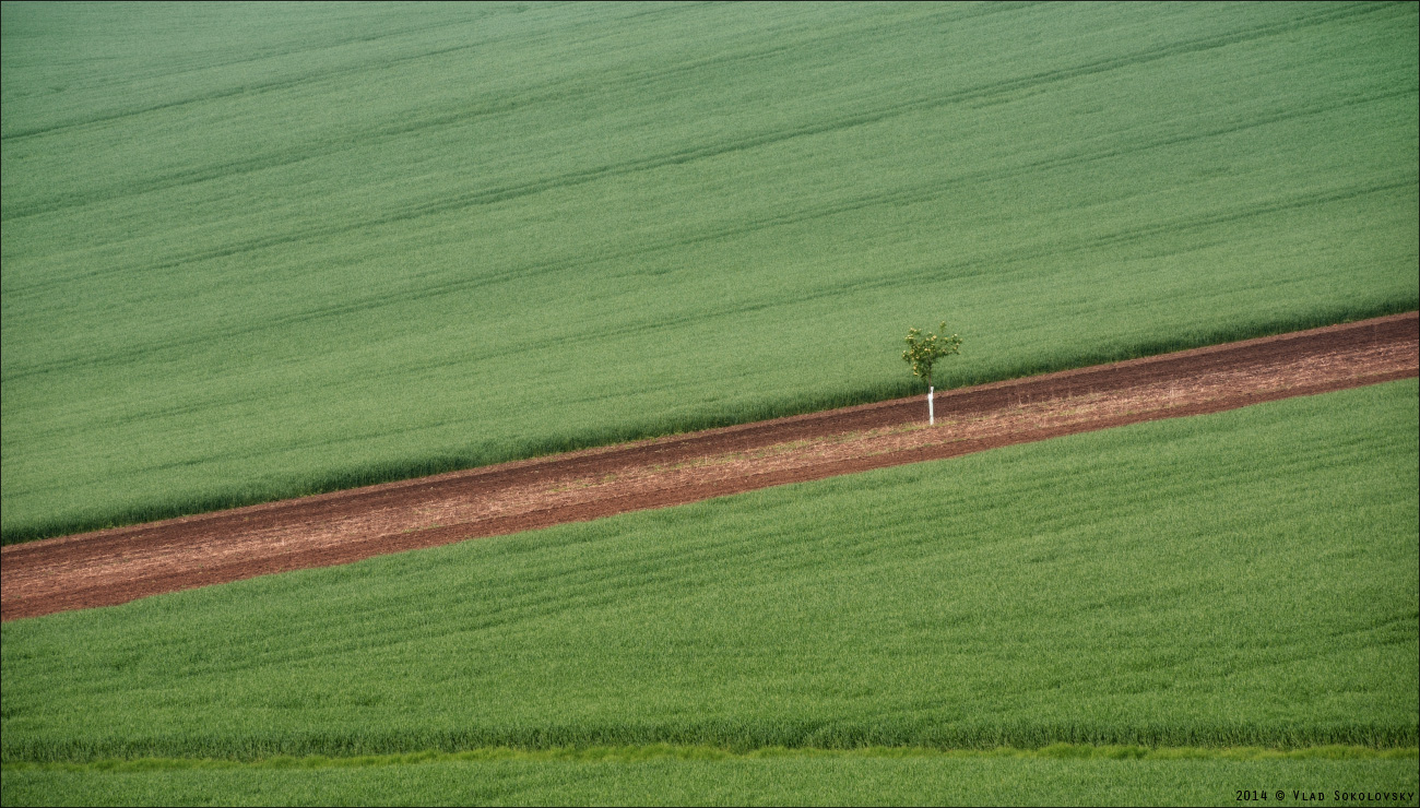 / Полевая геометрия /