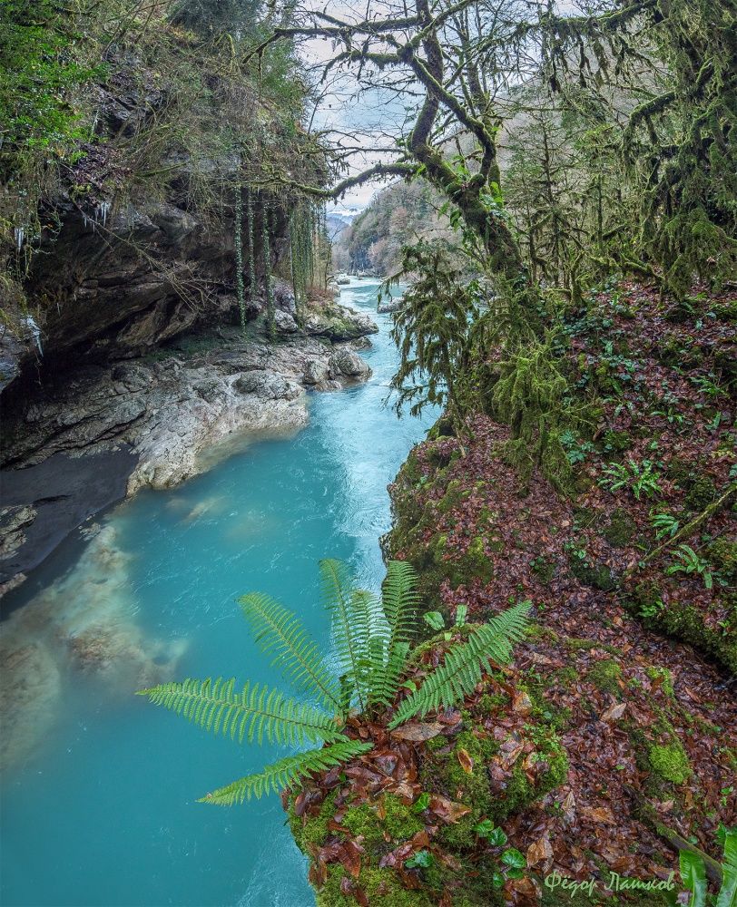 Тропическая зима.