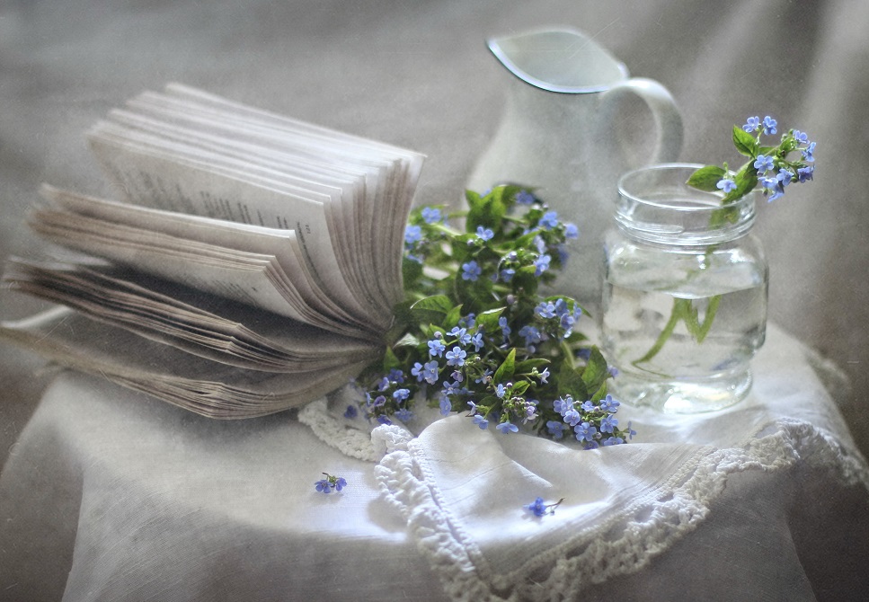 Незабудки....незабудки....