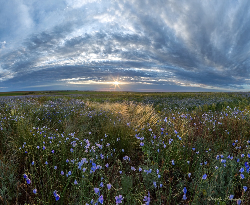Степная весна!