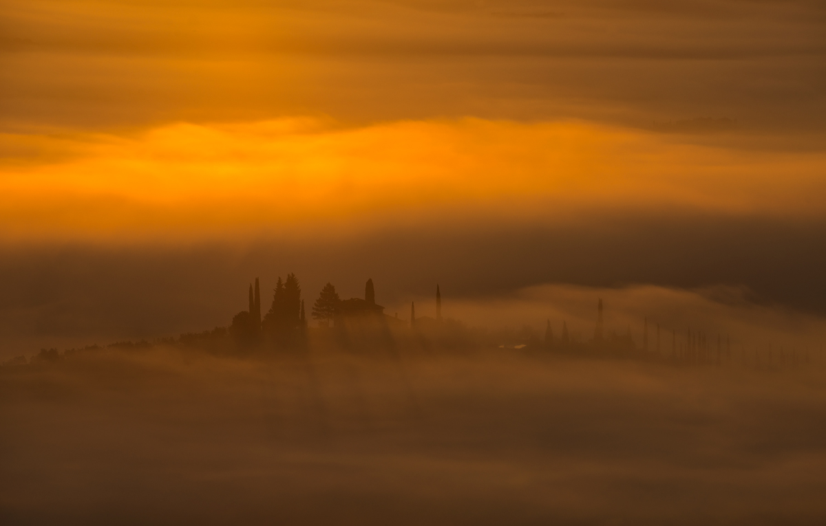 золото майского тумана