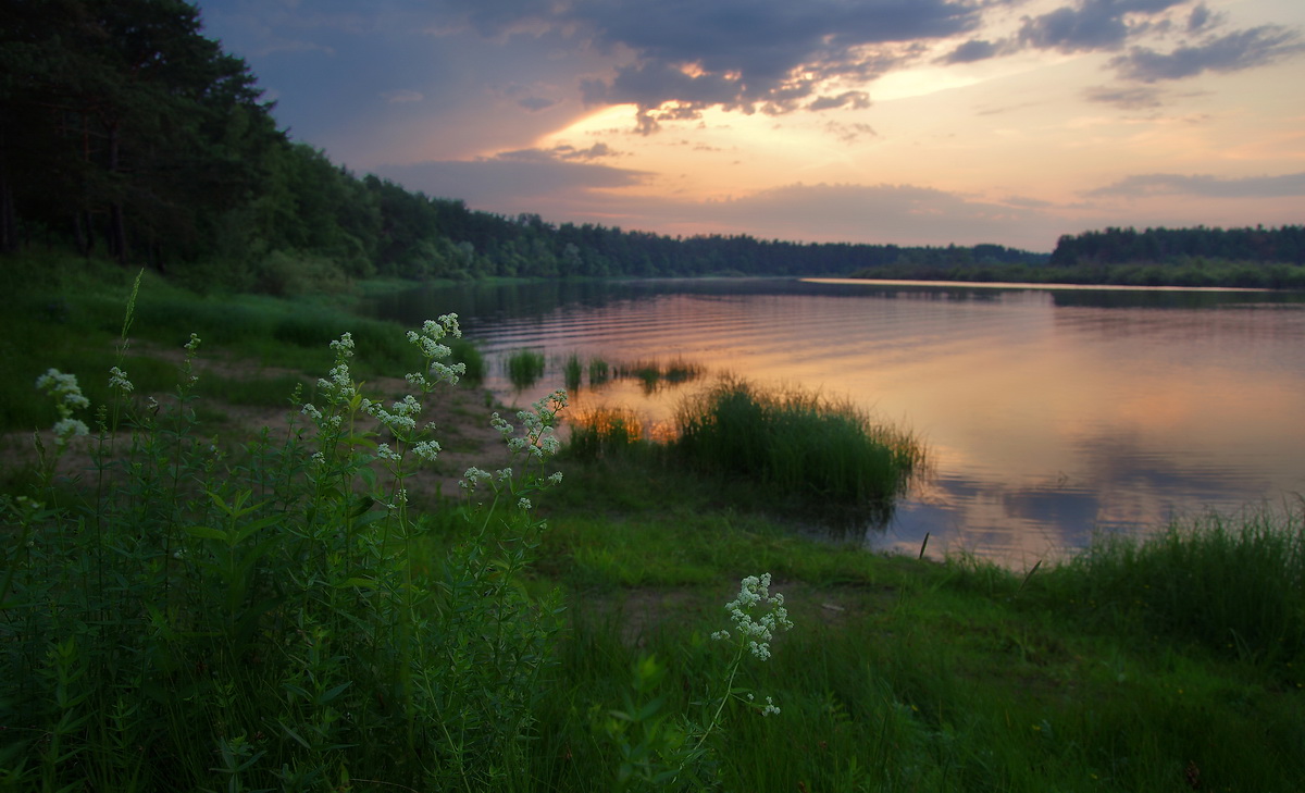 летний вечер