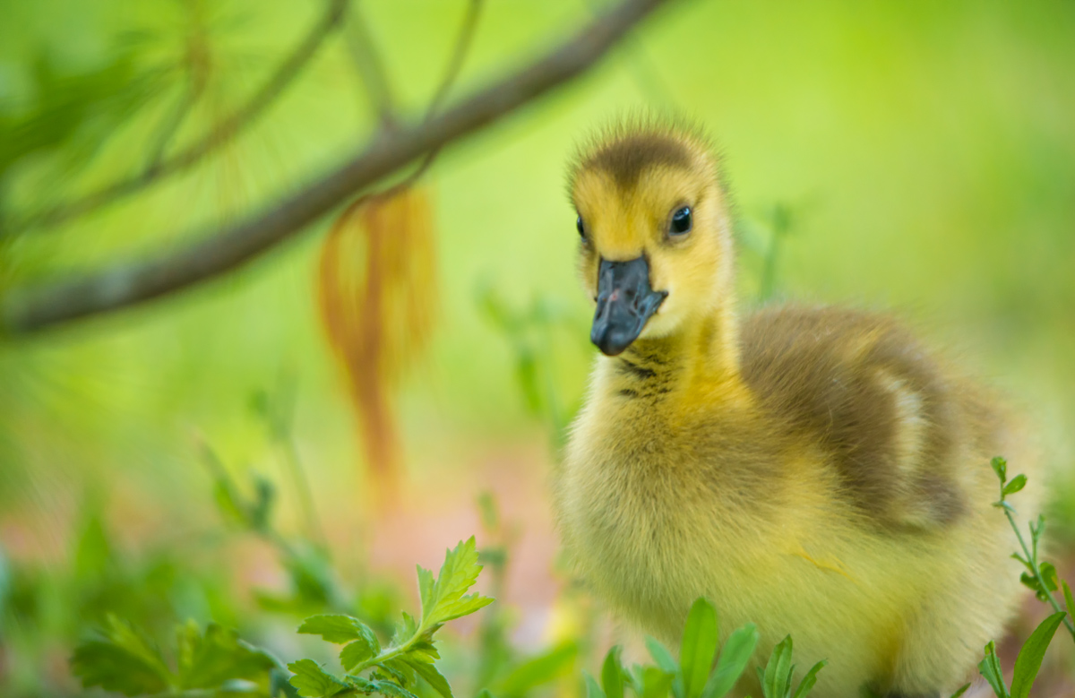 ...so far life in pink tonality