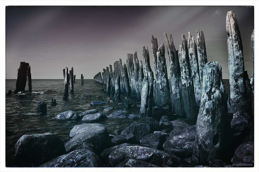 [In the Light of the Moon]