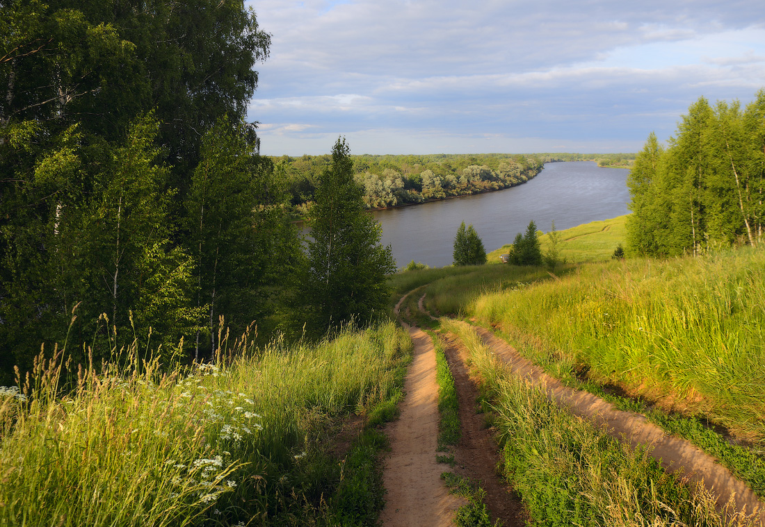 Спускаясь к Клязьме. Июнь
