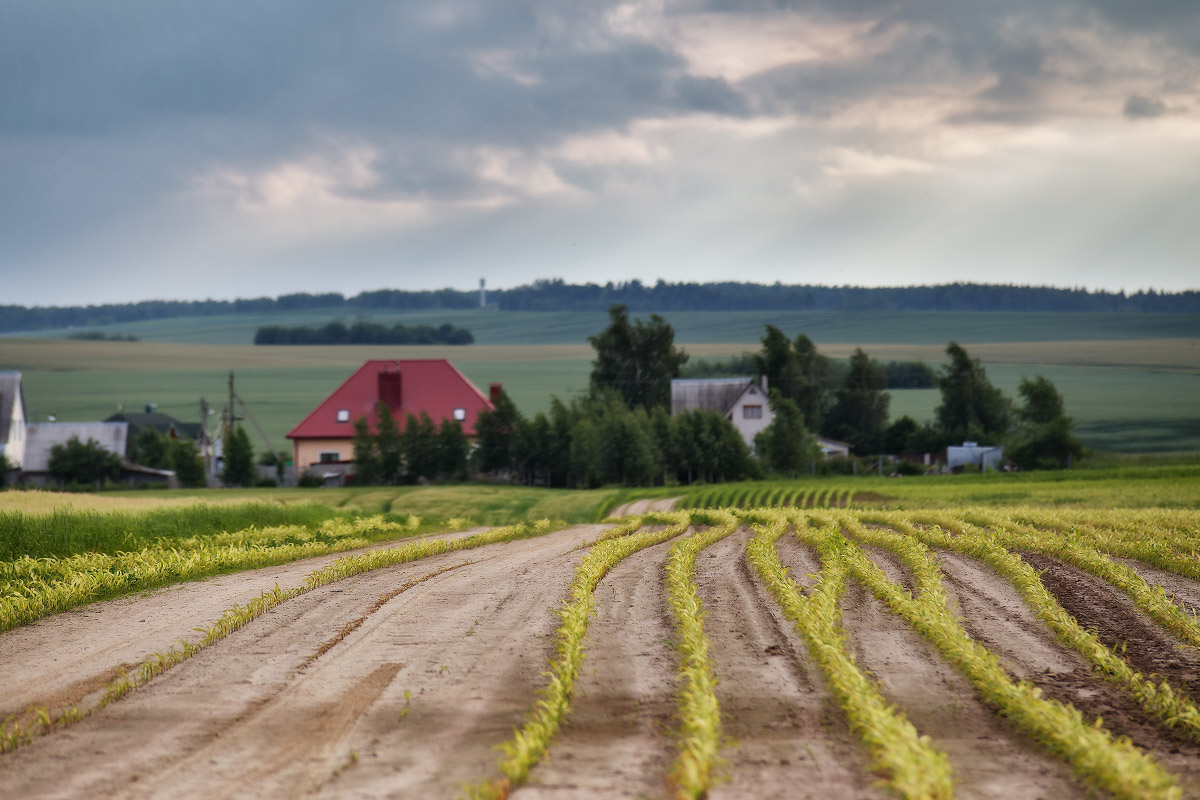 июньская геометрия
