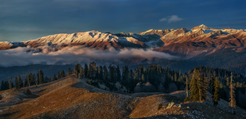 Туман наступает.