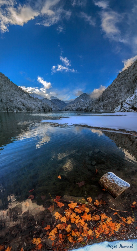 Последние листья.