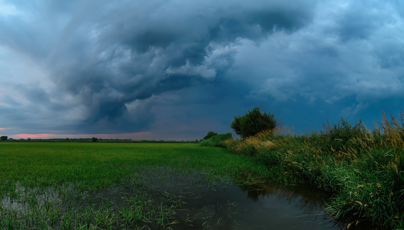 Утренняя зорька