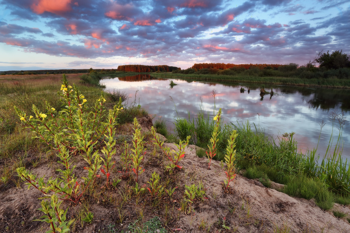 Июньский вечер на Немане