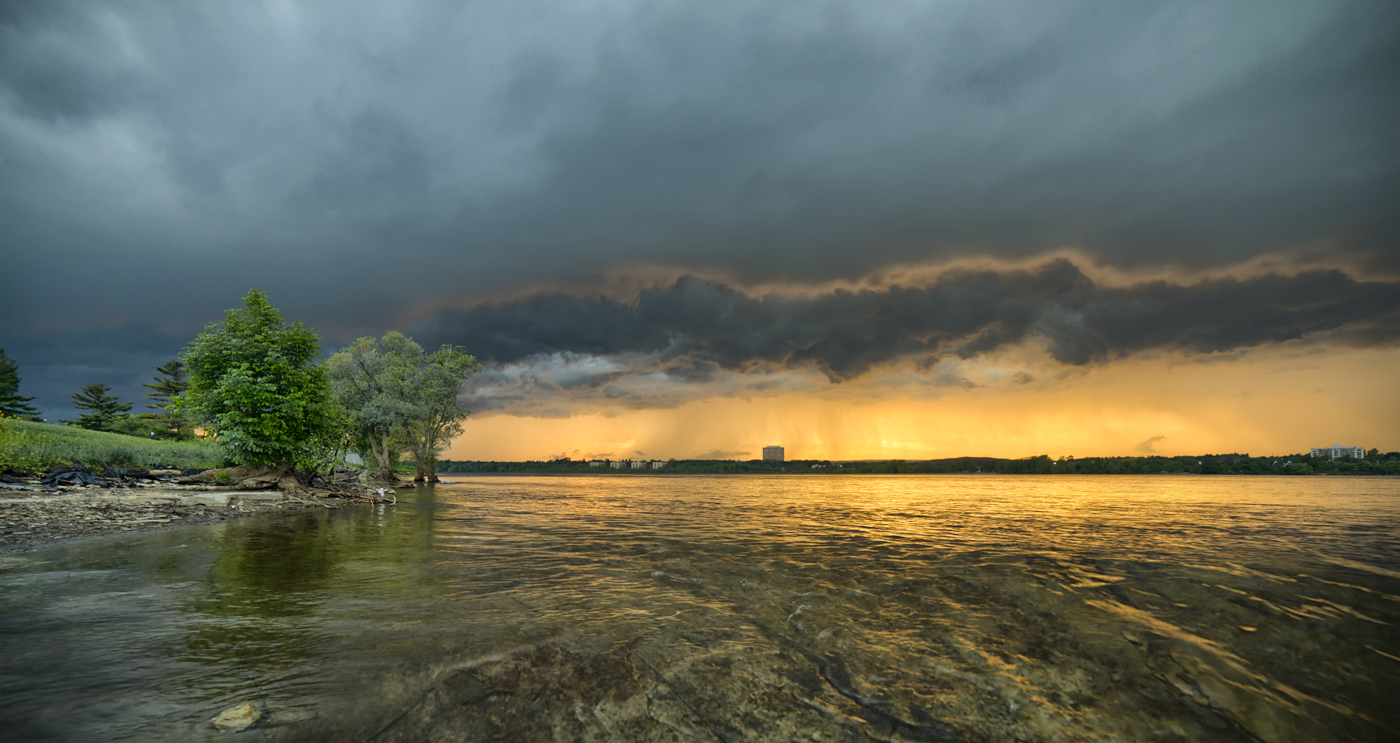 the nature gifted mood architect