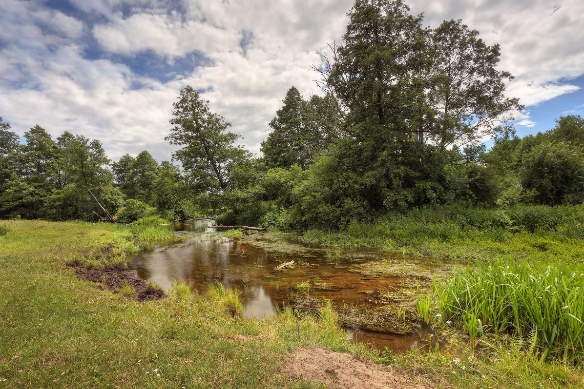 Тихая Заводь на Суле