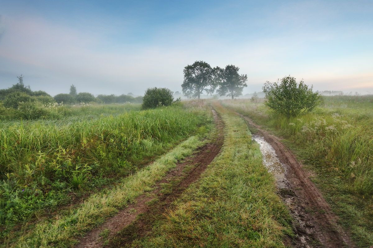 Июньское утро на Березине