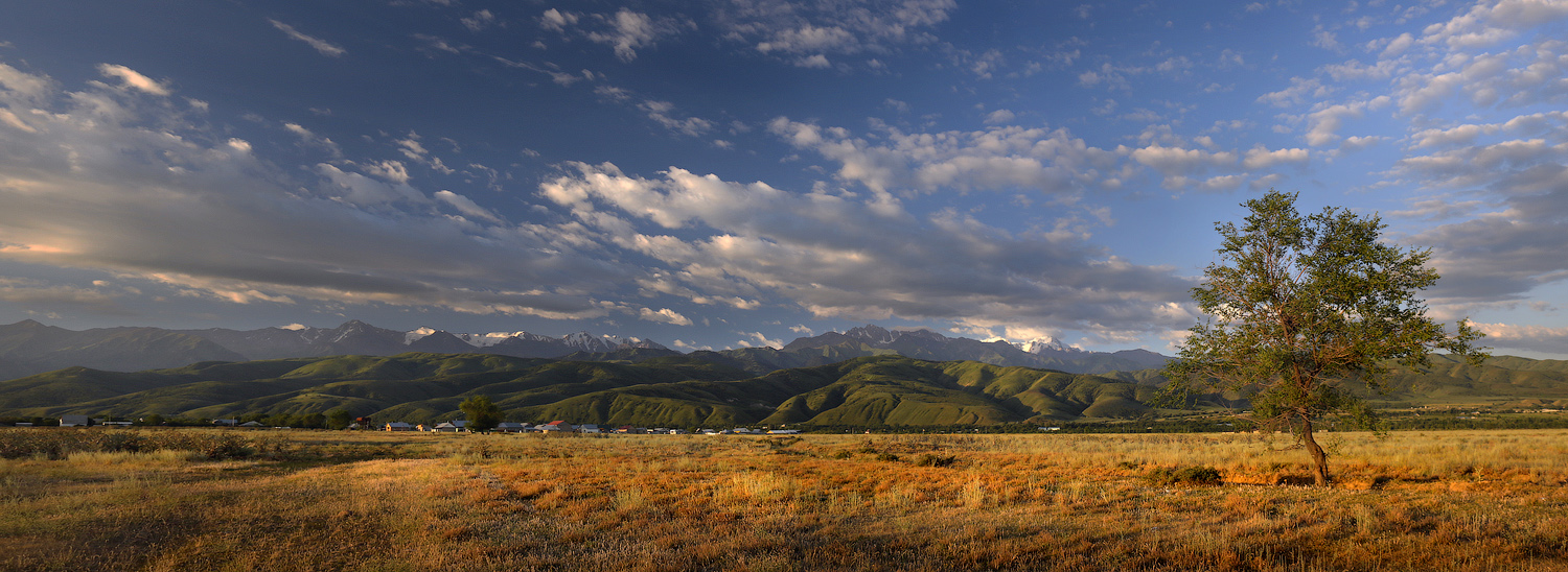 Родные места