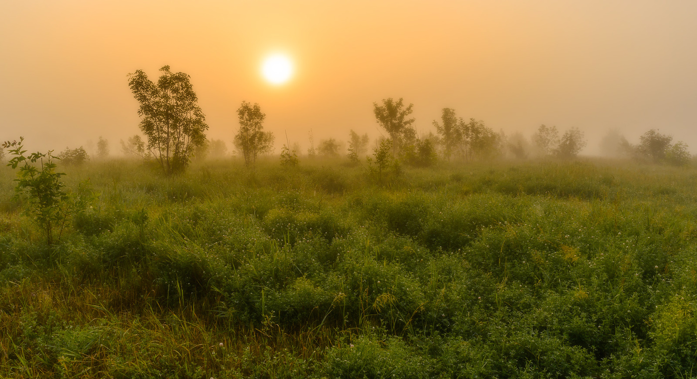 Туман и утро