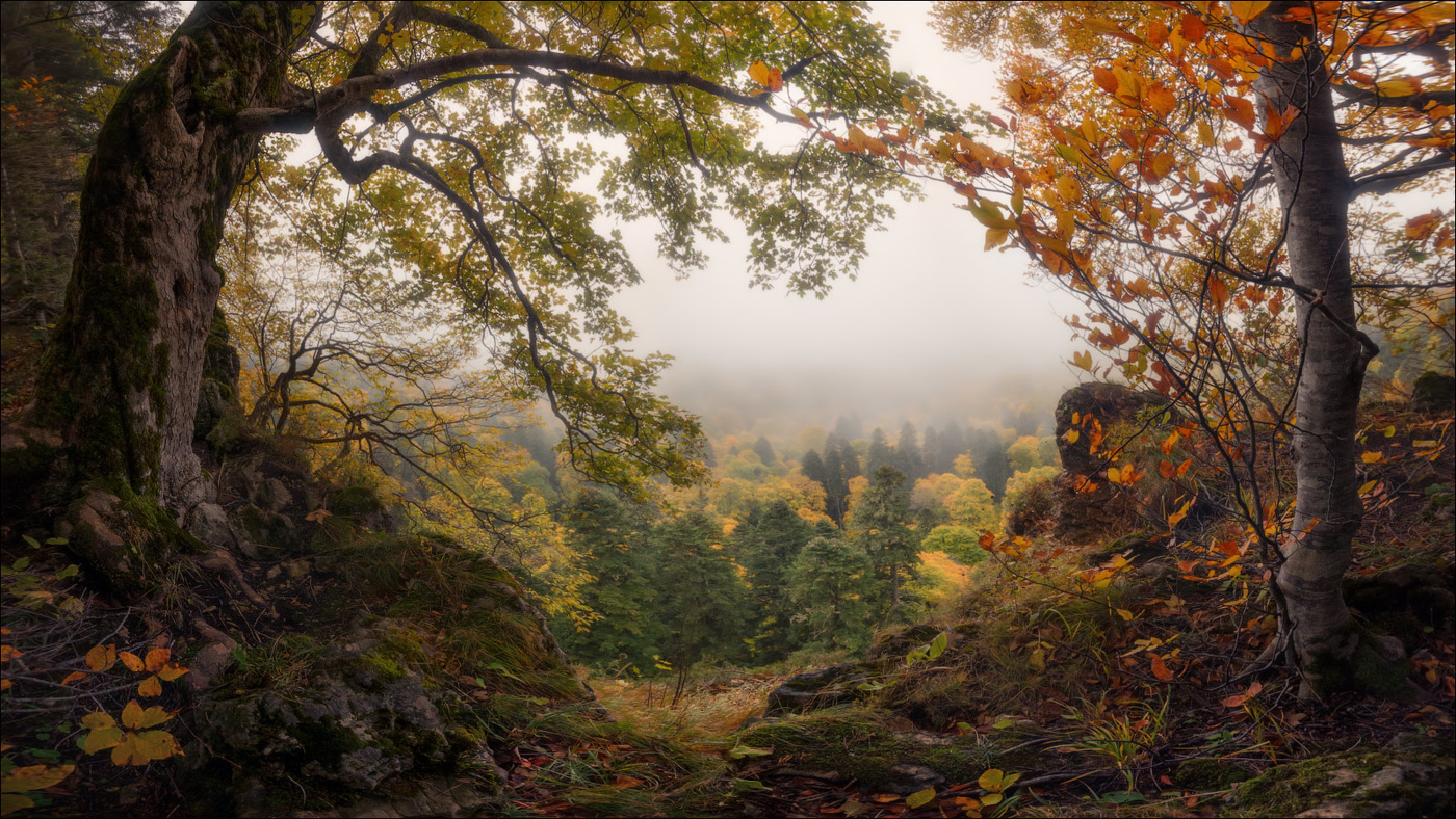 / На плато Лаго-Наки /