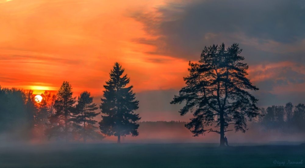 Весенний закат в парке.