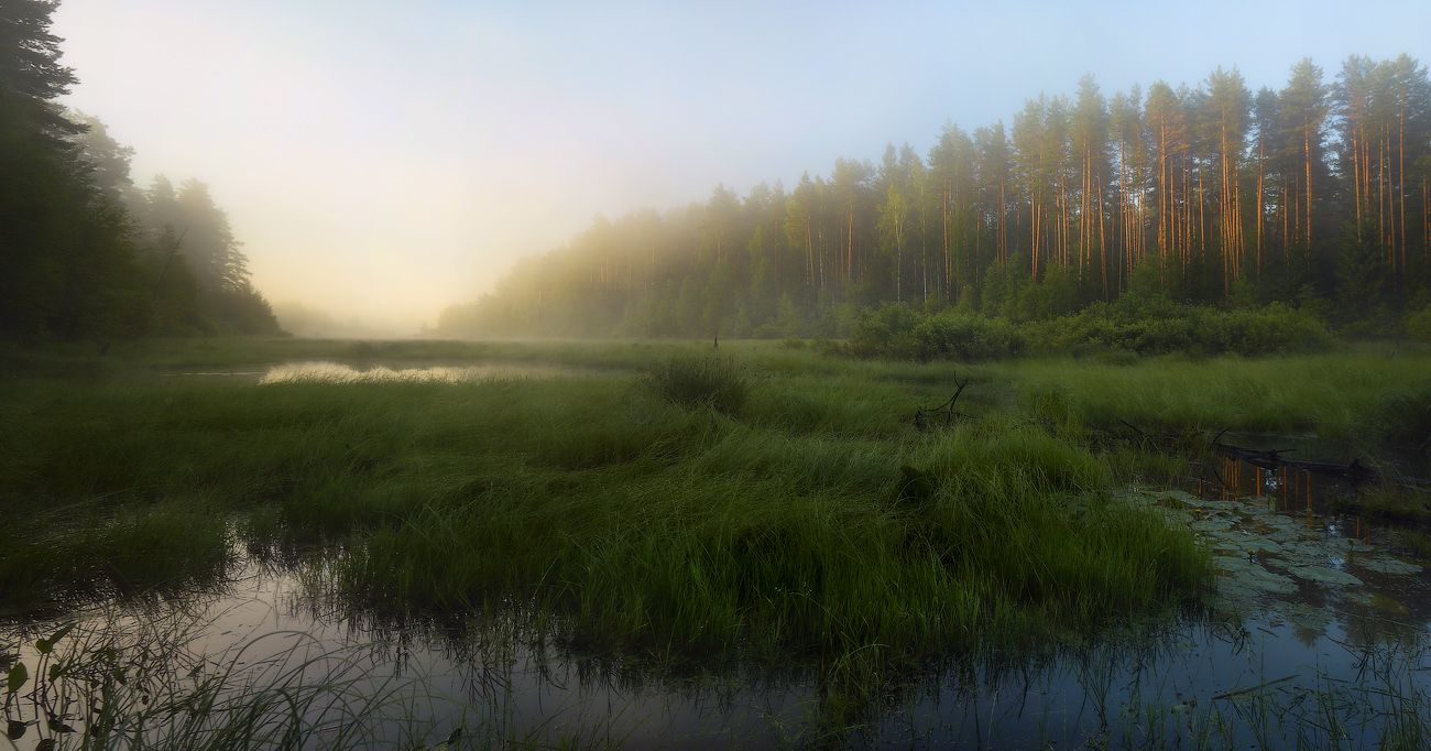 Первые лучи
