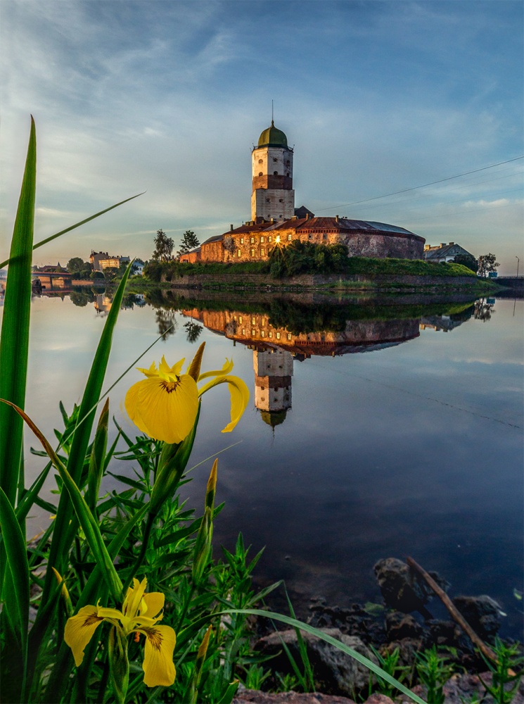 Ирис у замка.