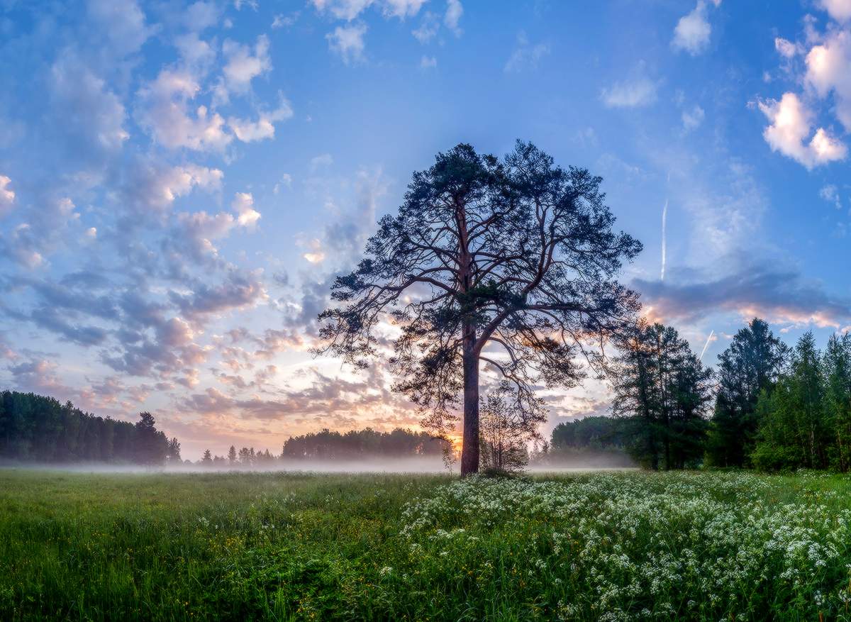 Летний парк.