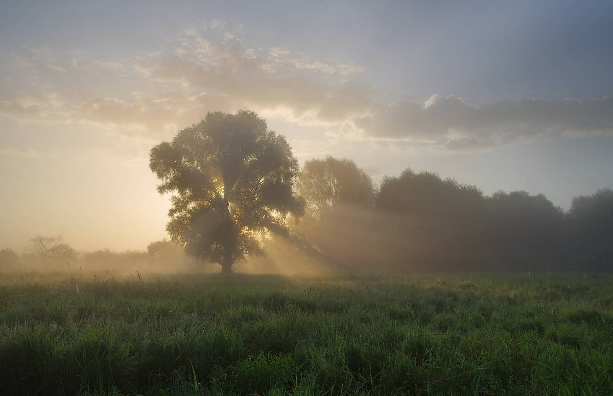 По росистой траве..