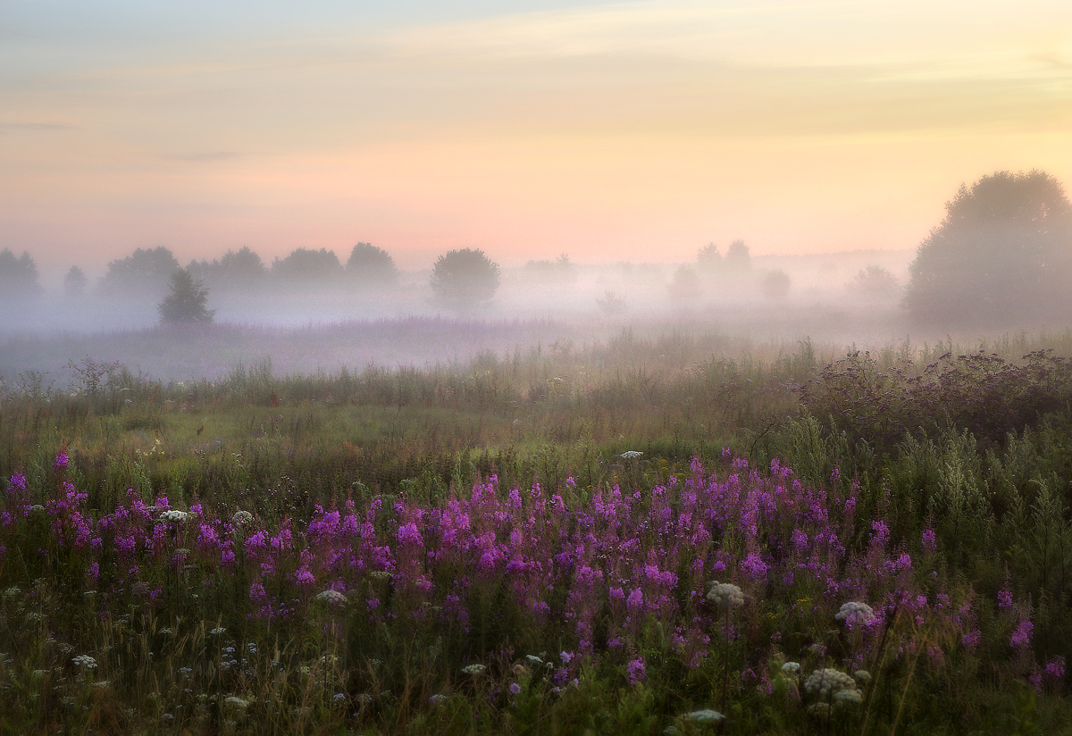 Ощущение утра