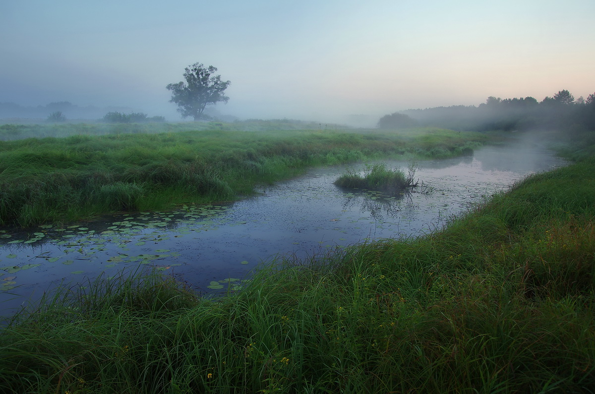Предрассветная прохлада