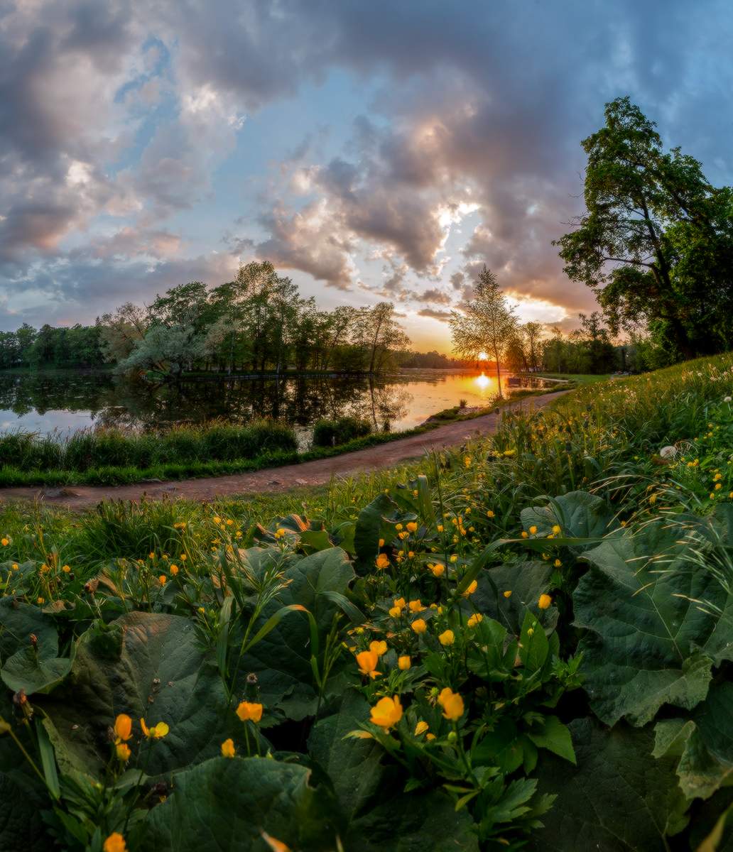 Парк в Гатчине.