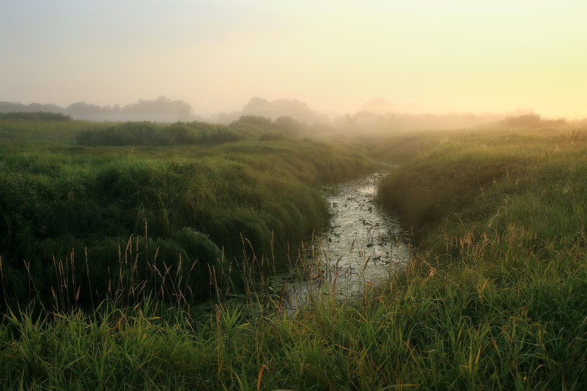 Затерялась