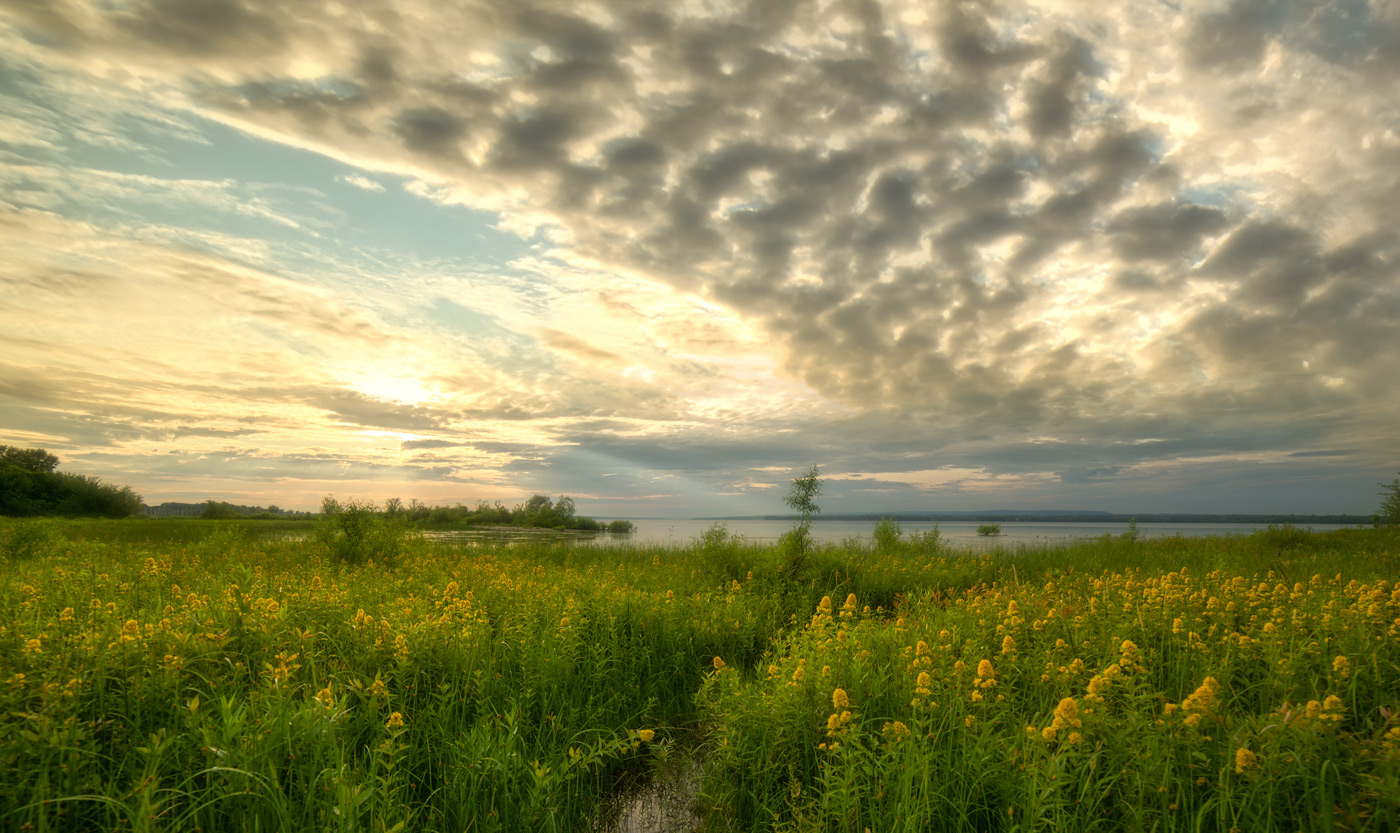 Bright And Early For The End Of The Day