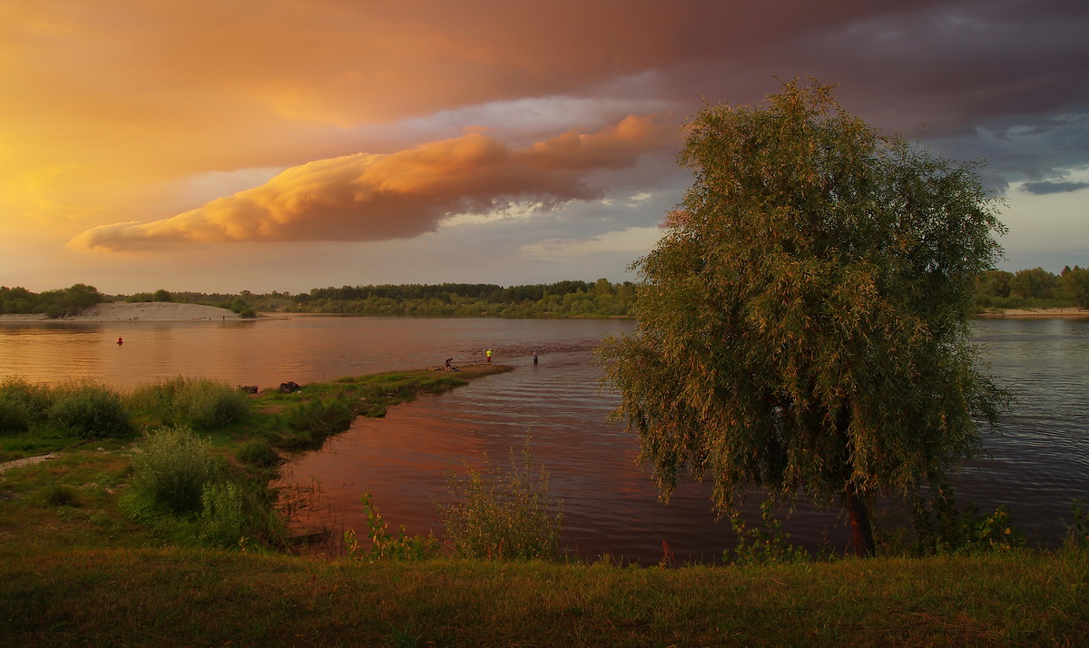 Вечерний свет