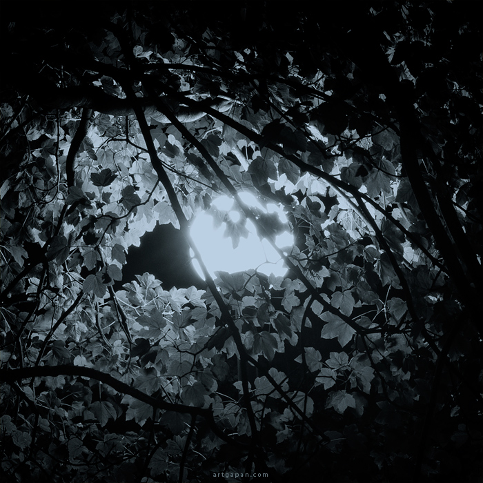 СуперЛуние ;)