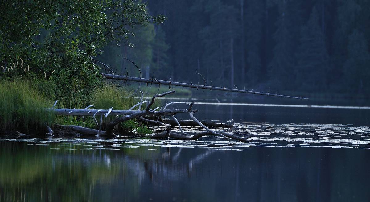 На Курбе вечером
