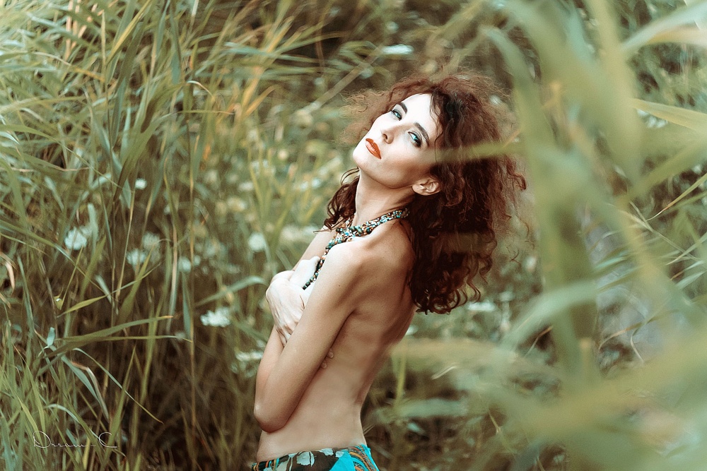 Замок в камышах..