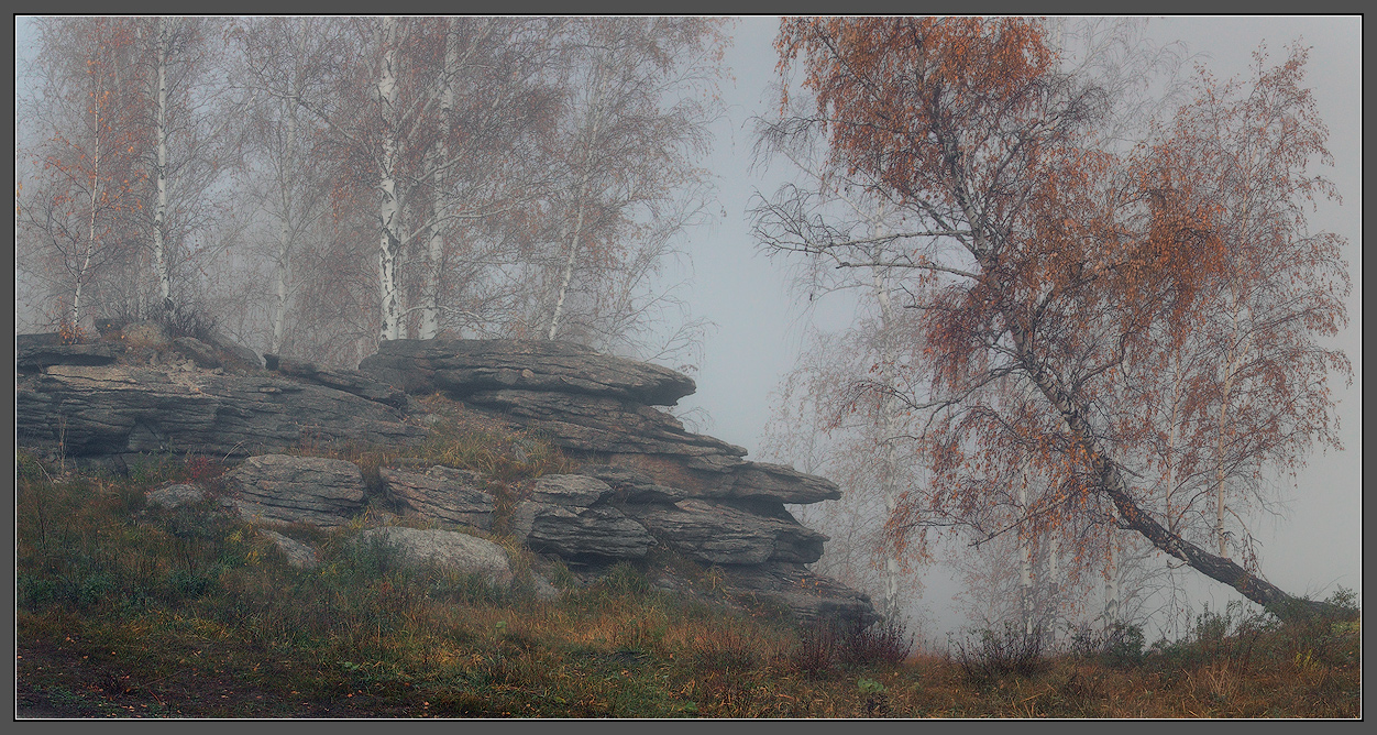 Октябрьские туманы (5)