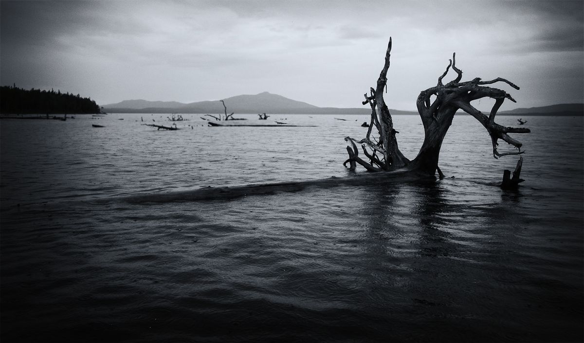 мрачно и мокро...