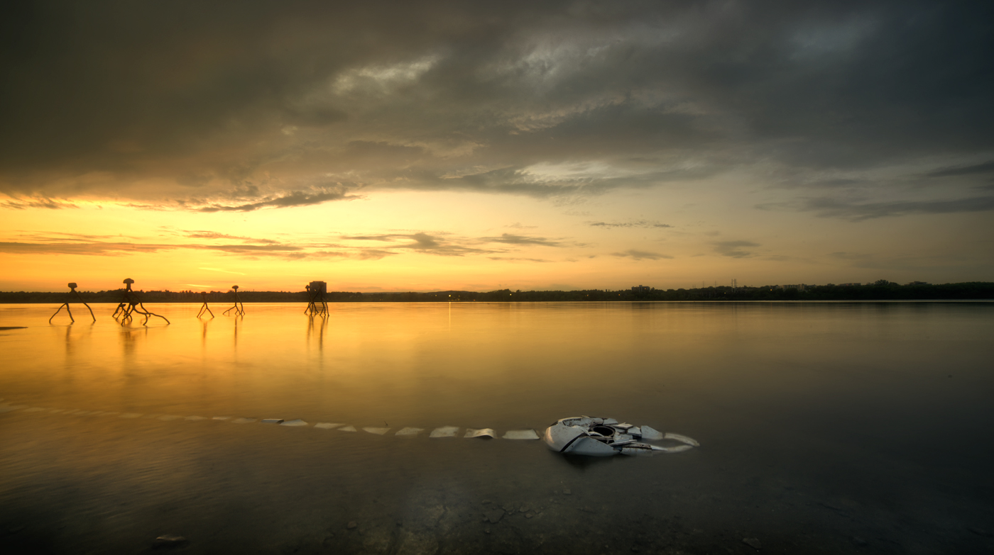 A fish rots from the head down