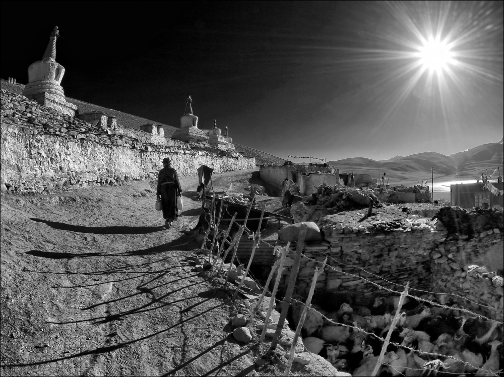 Another one sunny morning...