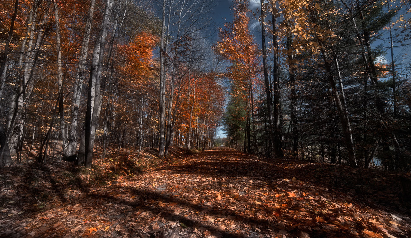 .....transparent Autumn