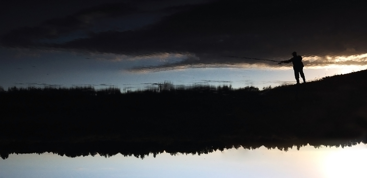 в свободном полёте