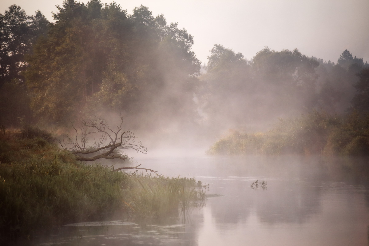 Утро на Немане