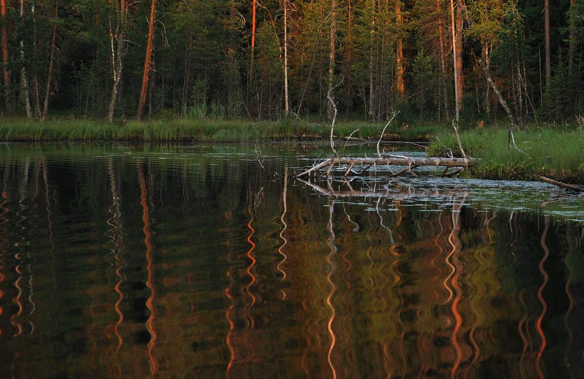 нечего на зеркало пенять...