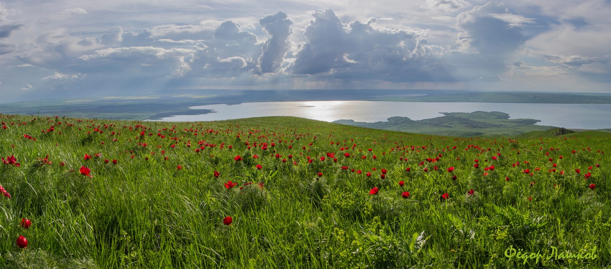 Весенний Сенгилей!
